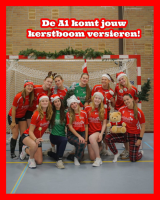 Help de handbal DA1 naar hun internationale handbaltoernooi!